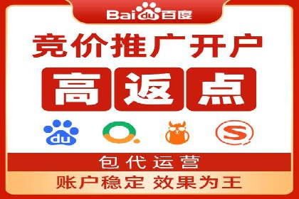 SEM托管公司案例研究：优化策略解析